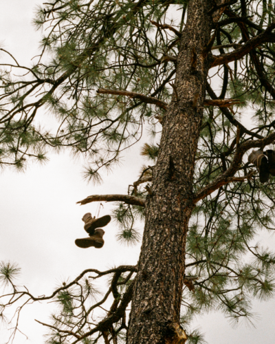 Boots in the Tree